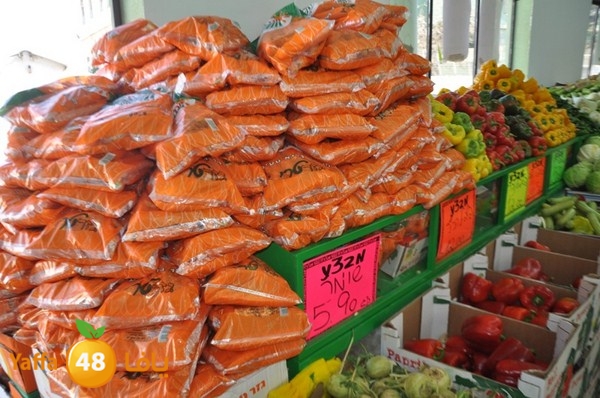 yaffa sooq 0306 (16).JPG